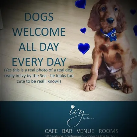 Hotel Ivy By The Sea