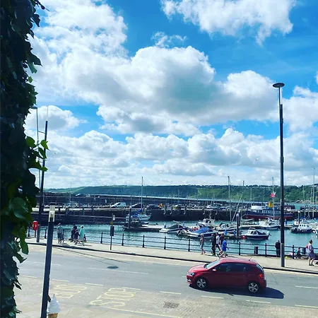 Ivy By The Sea