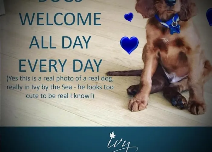 Hotel Ivy By The Sea